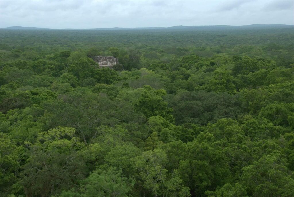 メキシコの世界遺産カラクムル