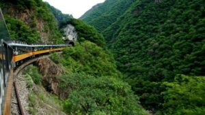 チワワ鉄道