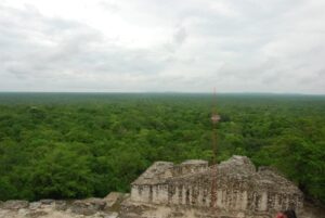 メキシコの世界複合遺産にあるマヤ遺跡とその密林