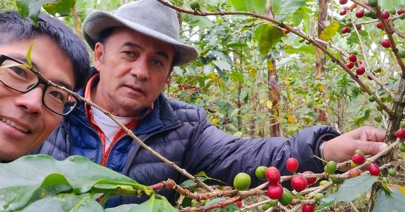 メキシコのベラクルスにあるコーヒー農園