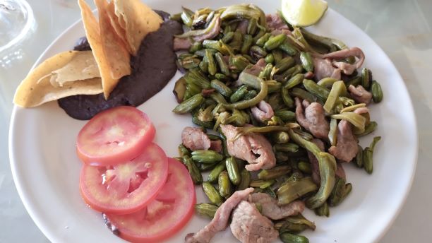 メキシコのサボテン由来の料理